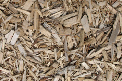biomass boilers Mossgate